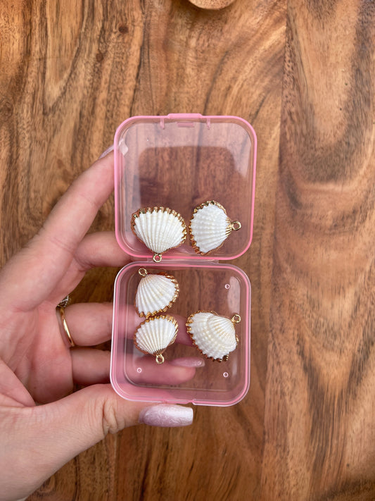 natural shells
